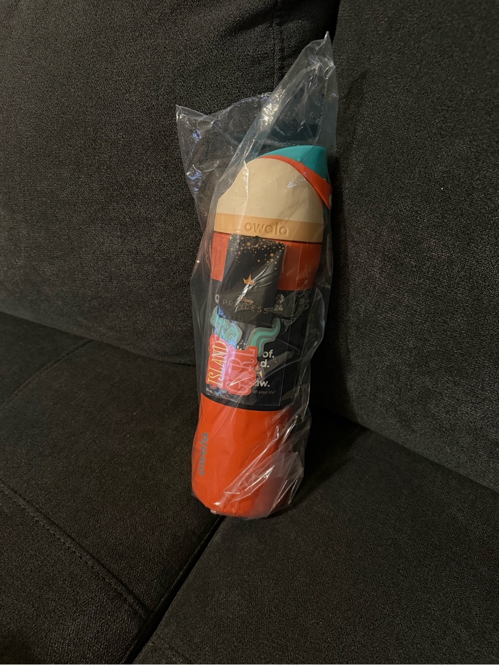 New Disney Moana Owala Insulated Water Bottle -